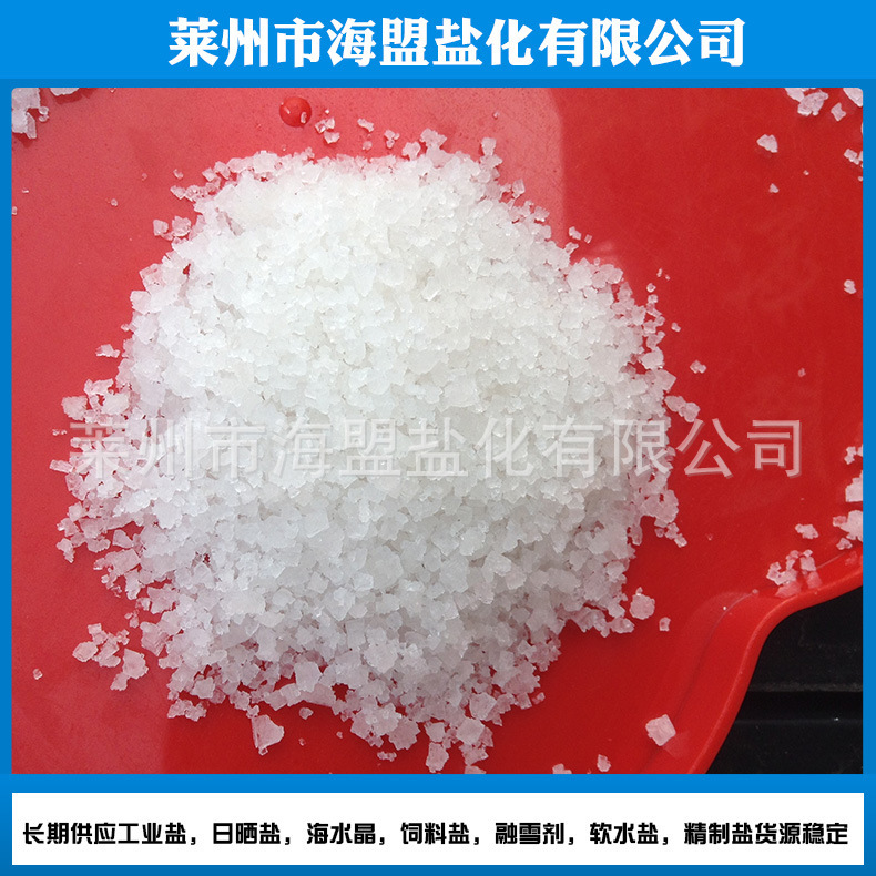 Sale of particulate industrial salt, rough and fine industrial salt bags, 50 kg shampoo and dyed wholesale