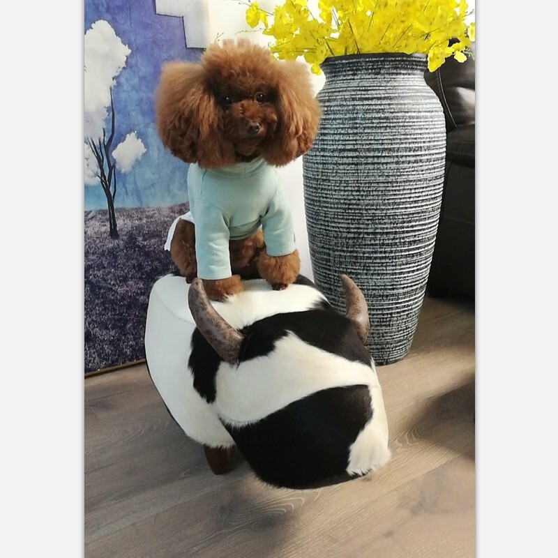 The designer's furry calf's own creative animal hat room and shoe stools in the foot stool living room.