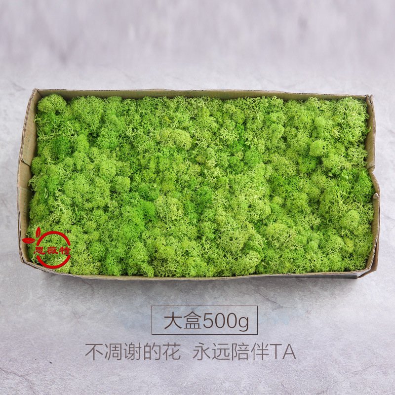 干花永生花材玫瑰材料包厂家直营批发500g大盒永生苔藓圣诞植物墙