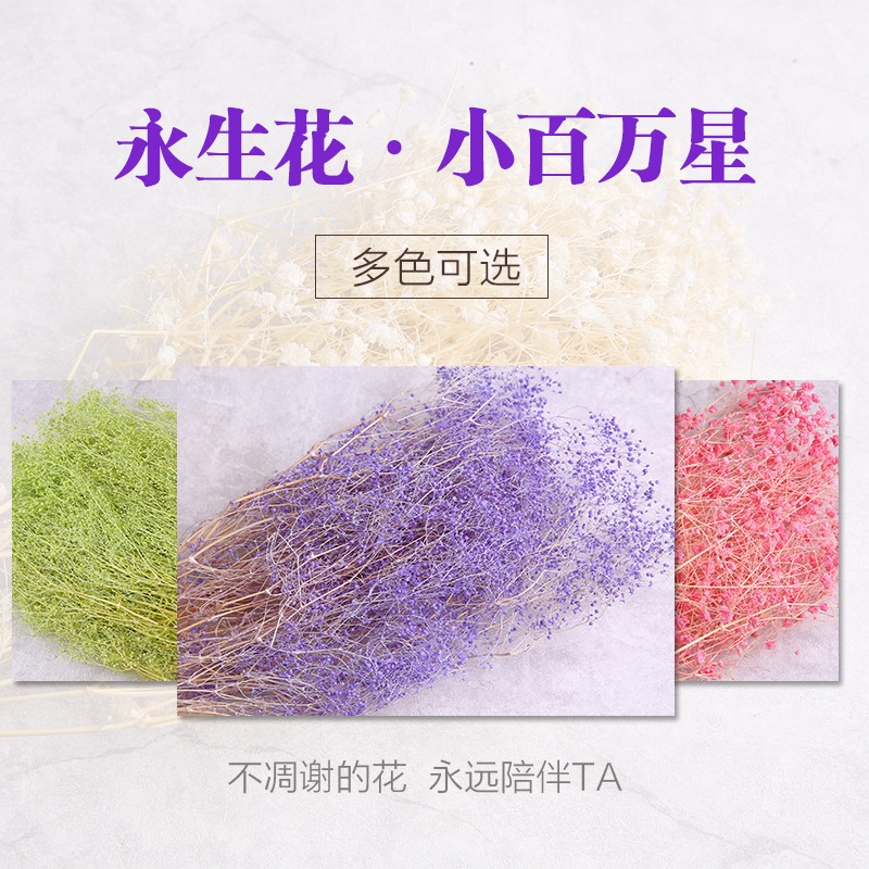 永生花干花花材 小星花 龙须草香薰材料包 创意diy玫瑰花配材