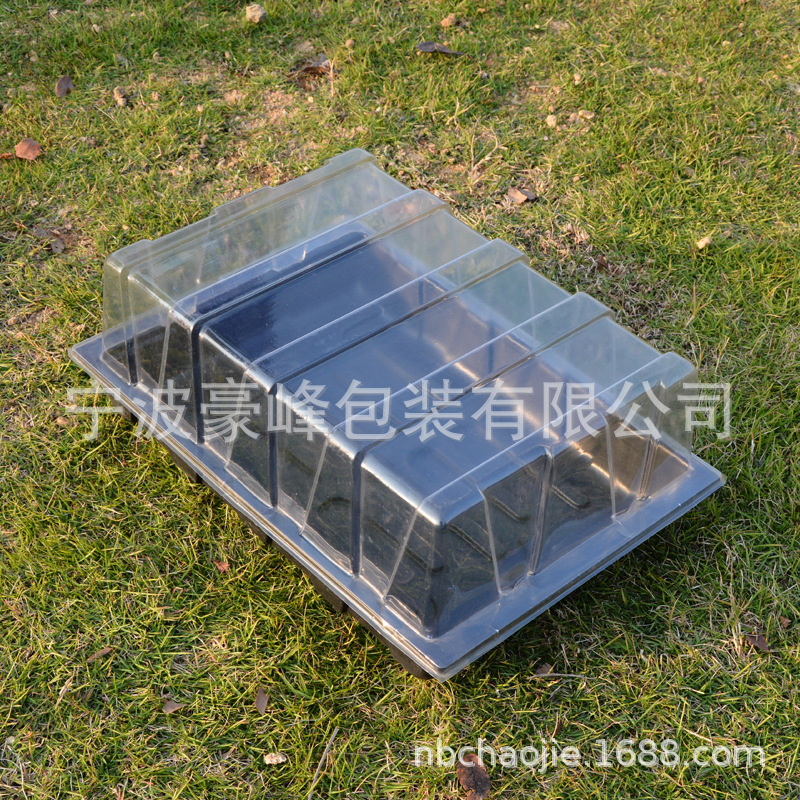 The plant supplies the plastic rectangular seedlings, which are directly used to feed the tectonic seedlings.