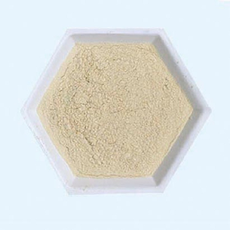 Bột hành tây.