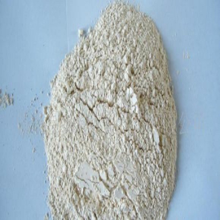 Bột hành tây.