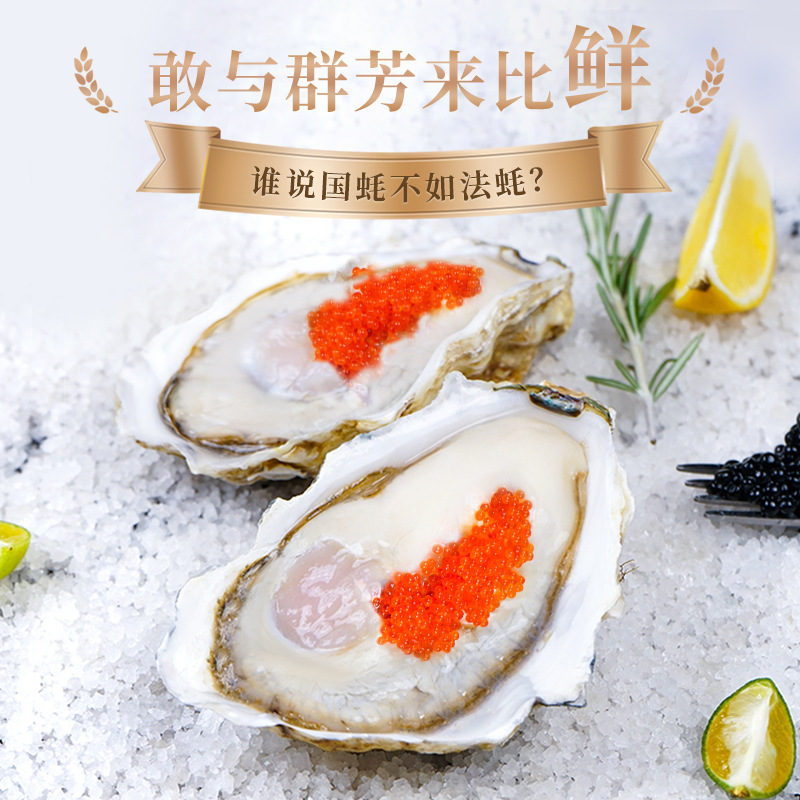 Chỉ huy trưởng Bị bỏ lại trong hộp gà trống với 12 con hàu sống với hải sản.
