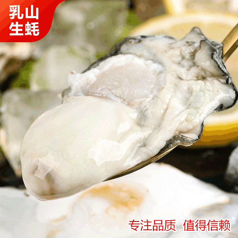 sứa ống nước.