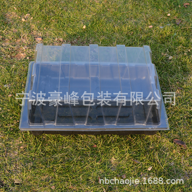 The plant supplies the plastic rectangular seedlings, which are directly used to feed the tectonic seedlings.