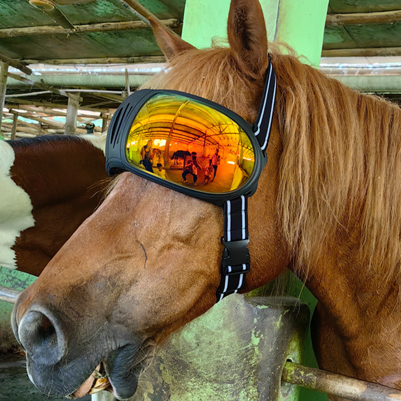 NEW Large horse goggles UV-ray camel glasses tiger windshields oxen pet sunglass #3020