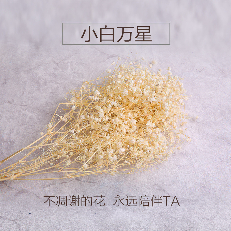 永生花干花花材 小星花 龙须草香薰材料包 创意diy玫瑰花配材