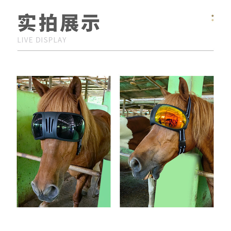 NEW Large horse goggles UV-ray camel glasses tiger windshields oxen pet sunglass #3020