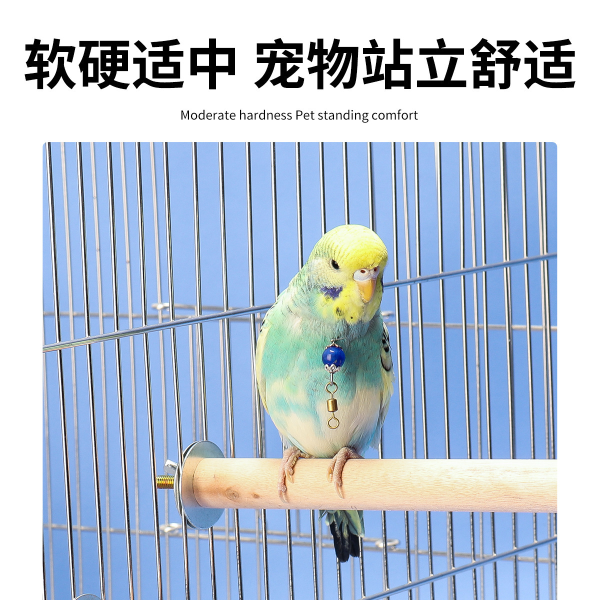 虎皮鸚鵡鳥籠站杆站棍棲杆子木製棲槓鳥用品實木棒鳥籠繁殖箱配件