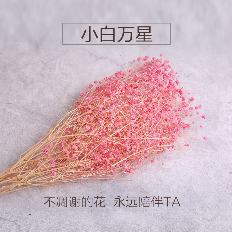 永生花干花花材 小星花 龙须草香薰材料包 创意diy玫瑰花配材