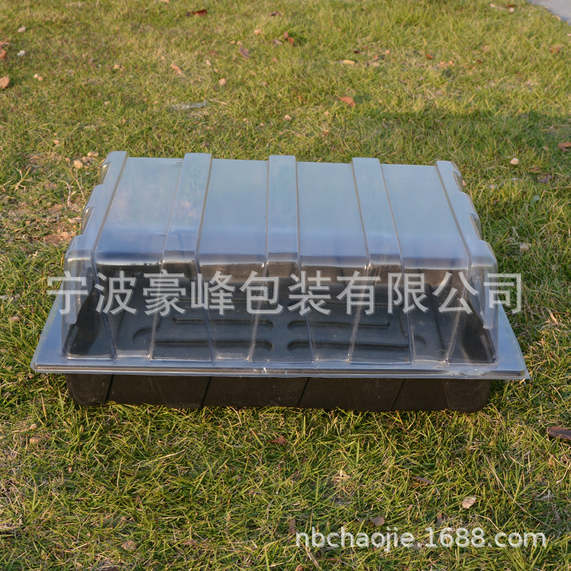 The plant supplies the plastic rectangular seedlings, which are directly used to feed the tectonic seedlings.