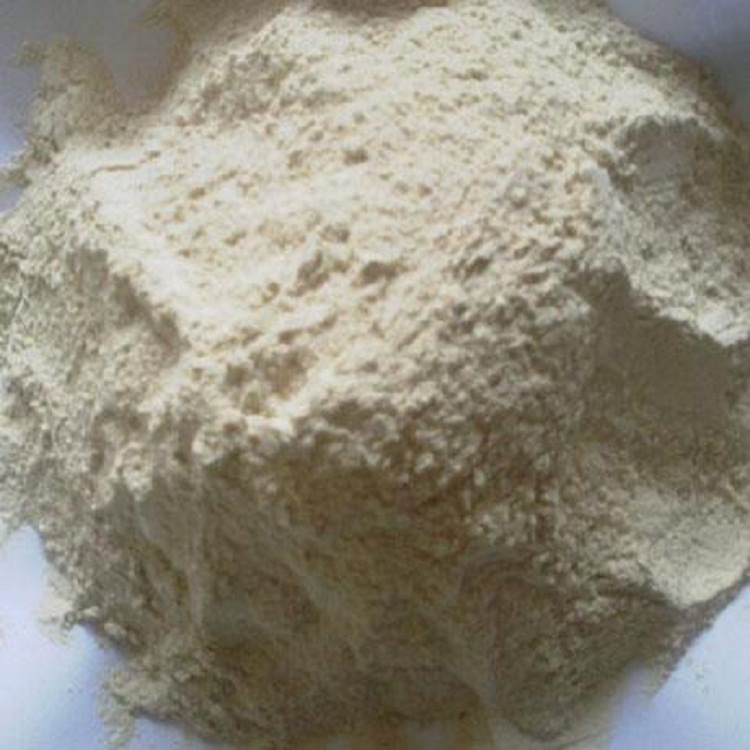 Bột hành tây.