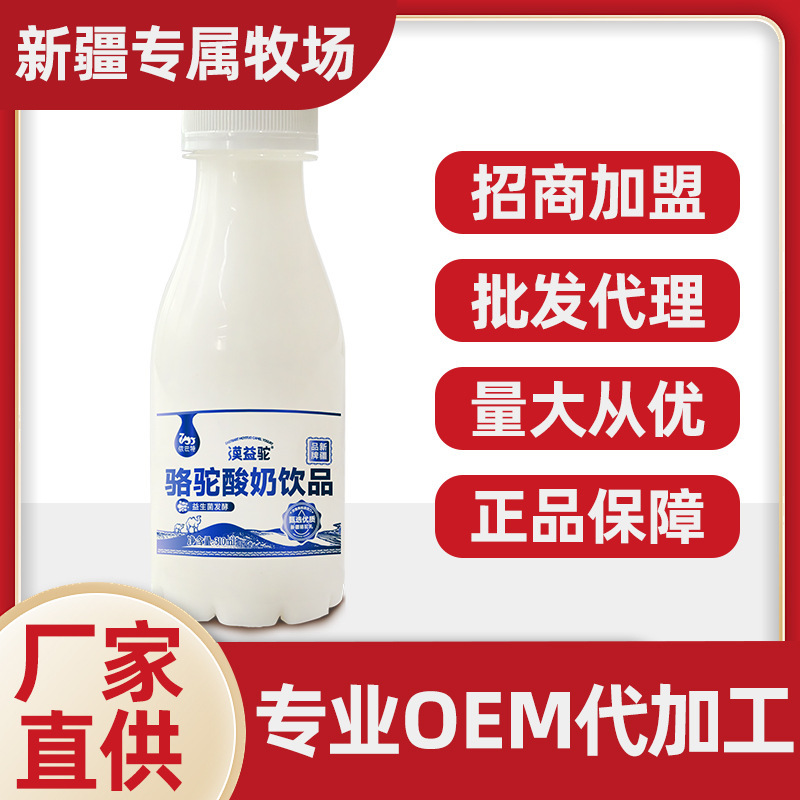 依巴特漠益駝 駱駝酸奶飲品310ml/瓶 駝酸奶液態奶駱駝奶廠家批發