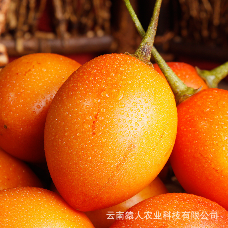 Yunnante produces fresh tomatoes and Yunnan tomatoes.