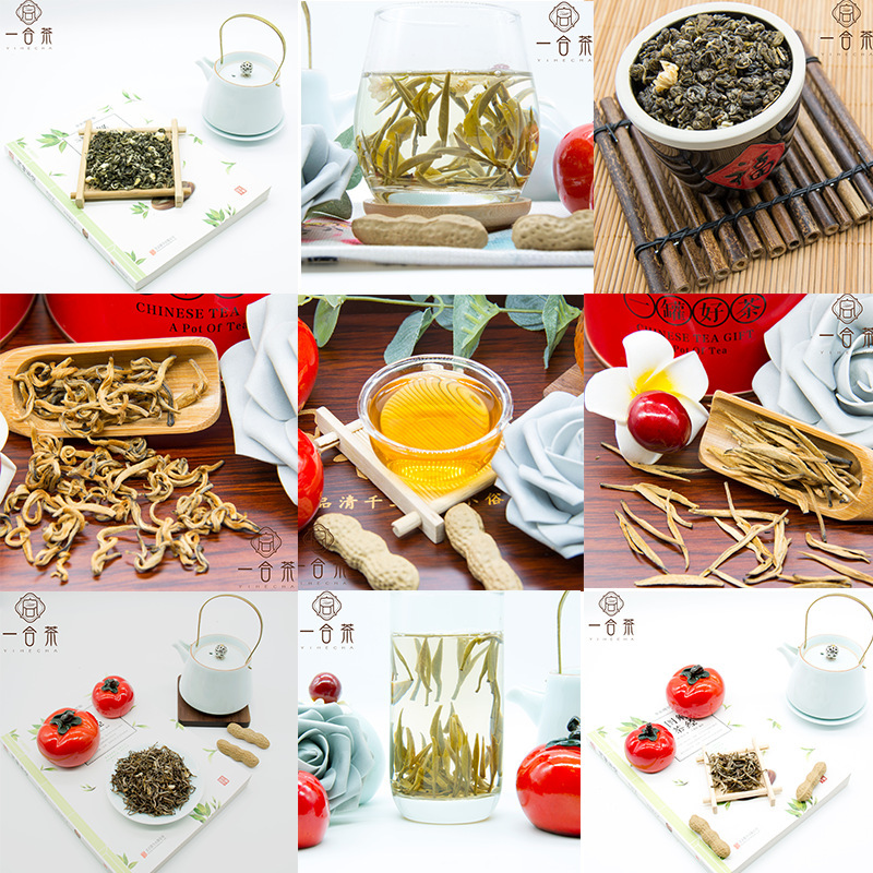Mẫu trà là liên kết đến nhà máy trà mới của Jasmine ở thành phố Nghiêm Châu, Quảng Châu.