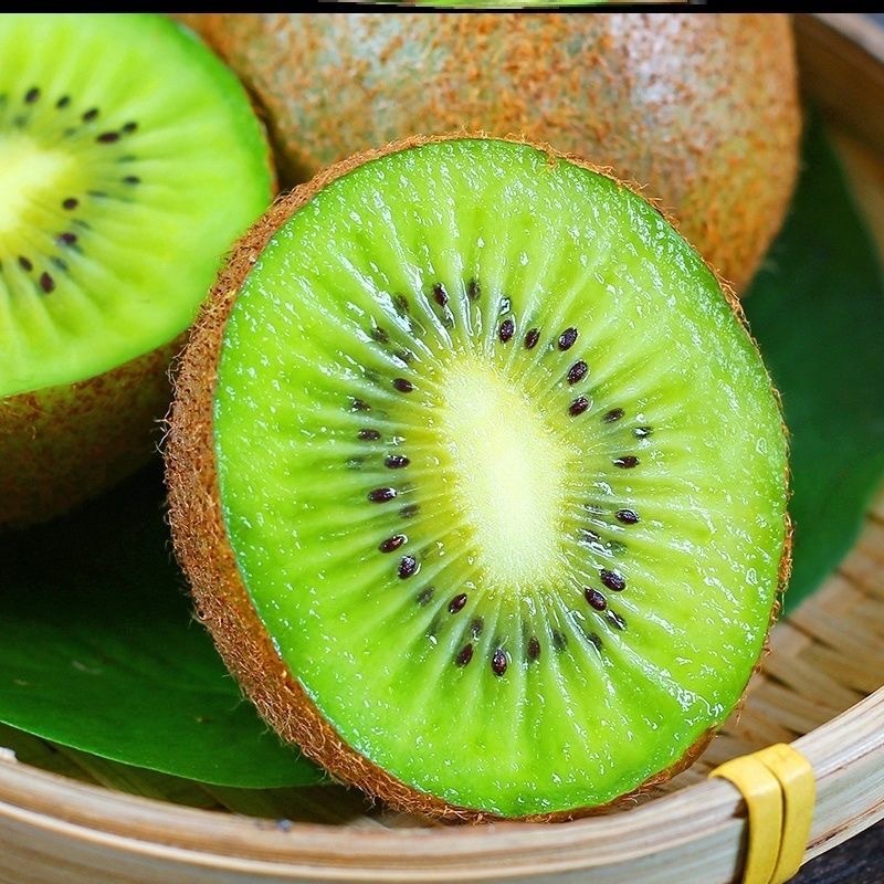 ♪ ♪ Khi mùa săn bắt đầu mùa tươi mới ♪