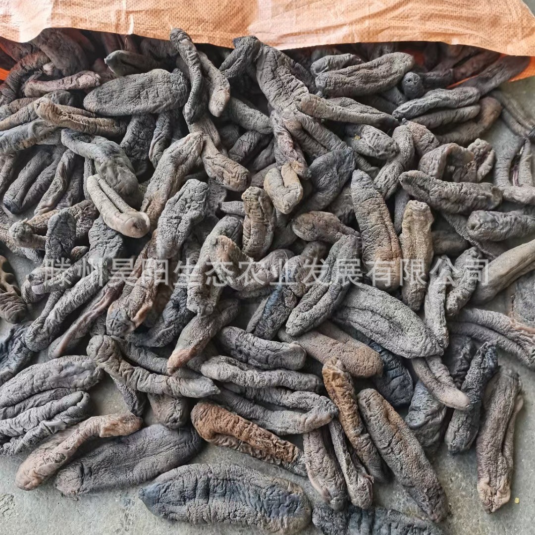 Dalian's dry eggplant is ginseng and dry sea cucumber is 50 pounds of sea cucumber.