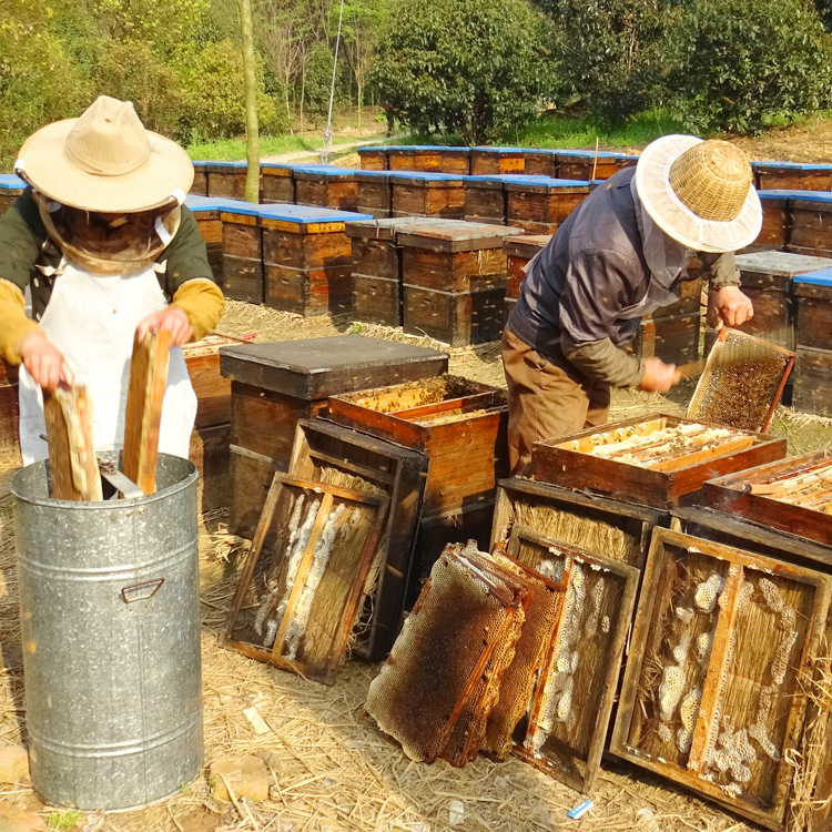 25kg drums of honey-crystaldled honey-screeched honey-screeching farmer honey 42 pumino-sourcer honey