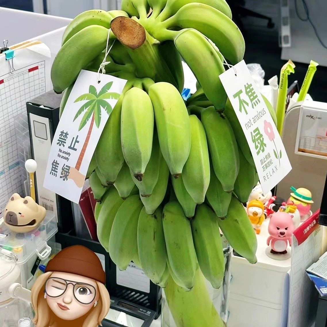 붉은 물 재배 벨트는 테이블 녹색의 중대한 납품을 만듭니다.