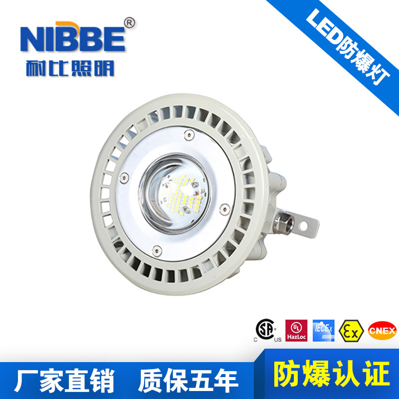 Industrial lighting lamp LED platform lamp LED blast-proof light LED blast-resistant lamp