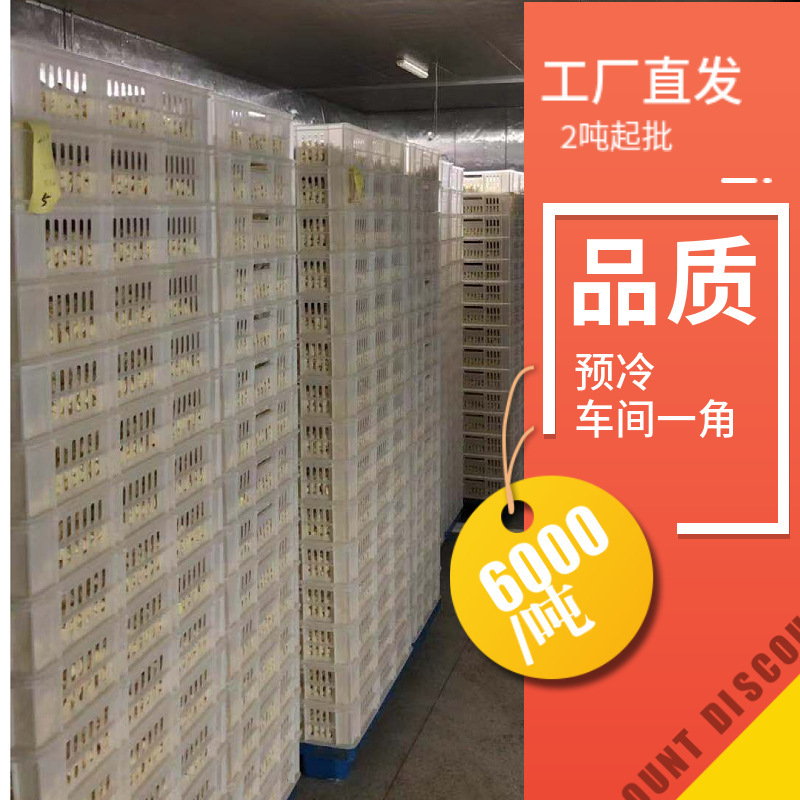 "Công ty sản xuất ô nhiễm" được đặt hàng xuất khẩu trong nước cho tỏi.