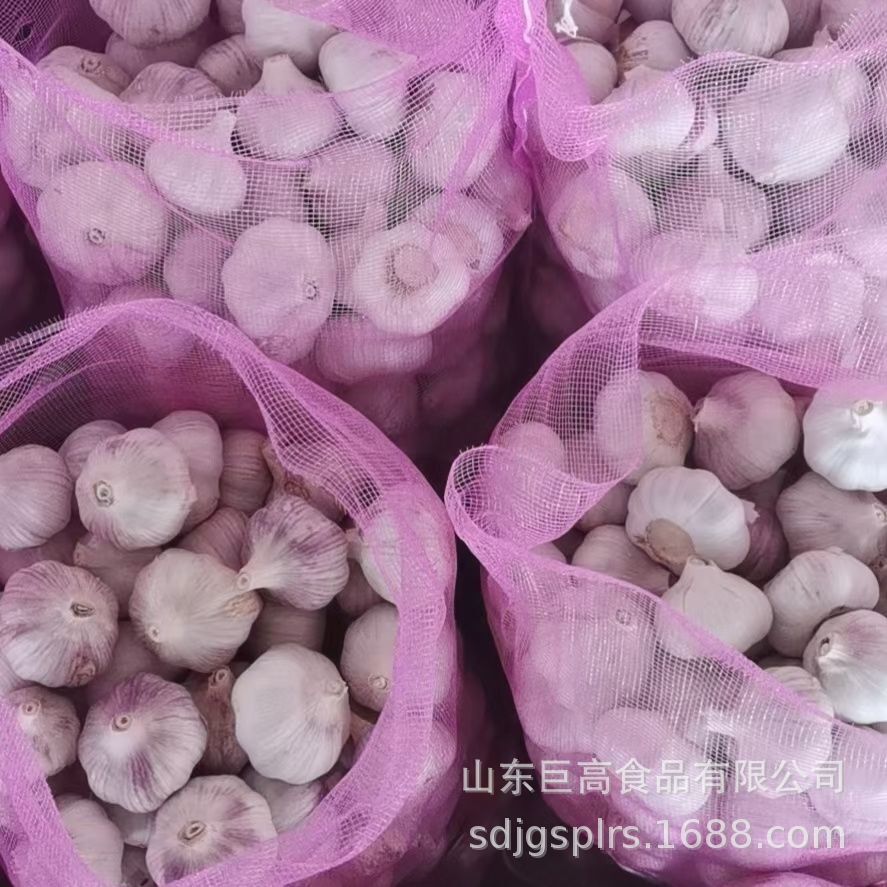 Tỏi lấy từ nhà máy xử lý thị trường nước ngoài để buôn bán và mua nó từ nguồn gốc nhà máy.