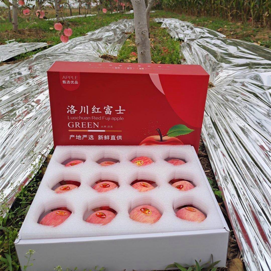 The red rich apples of Shilokawa High Mountain, fresh and sweet fruit, picked out 12 gift boxes for distribution.