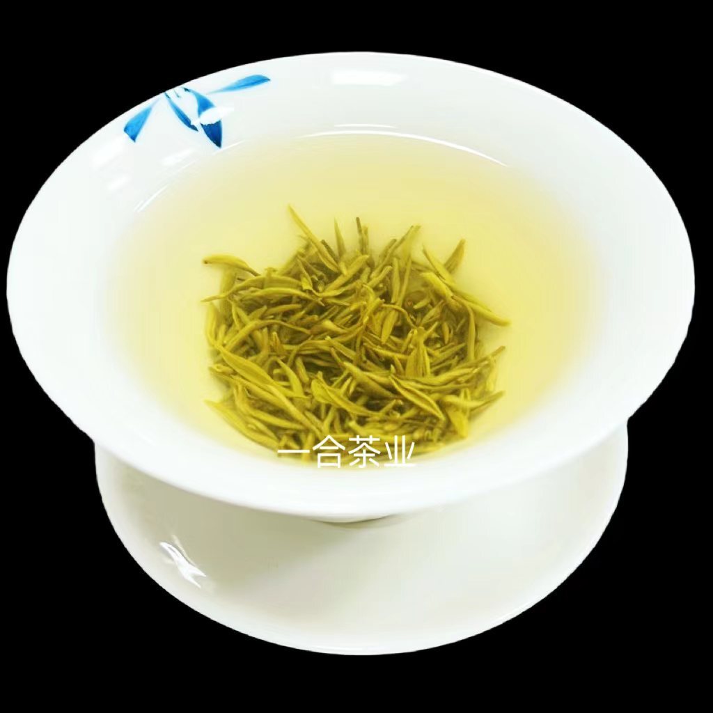 Cây kim của Jasmine, trà hoa nhài mới ở hạt Guangxico, mầm của những chồi và bong bóng.