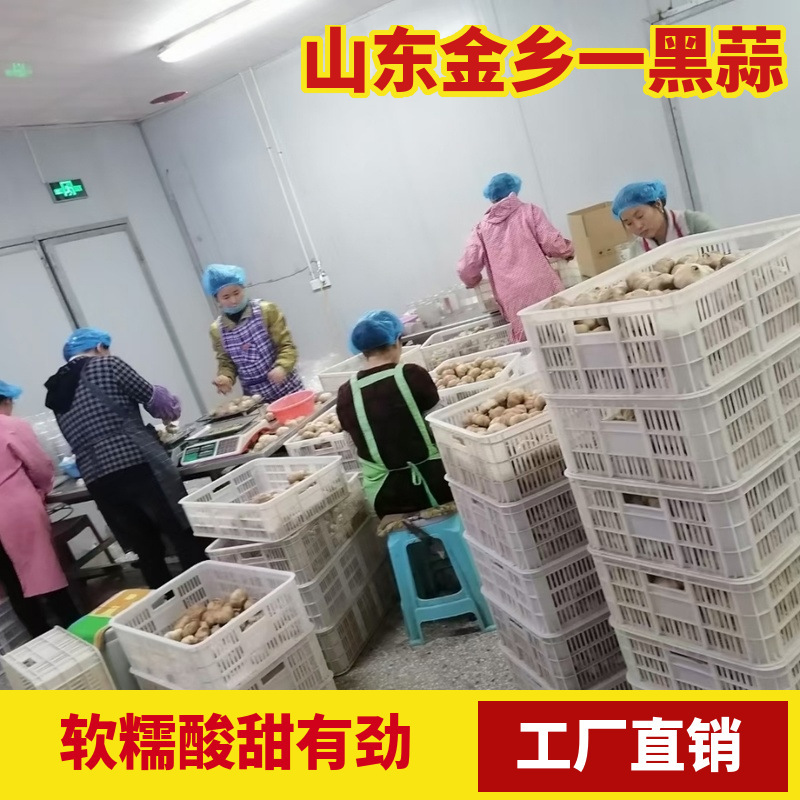 Rồng Yunsheng đa nguyên 400g Cây Cannery Plant có một cửa hàng thực phẩm có thể mua được nền tảng để sản xuất tỏi.