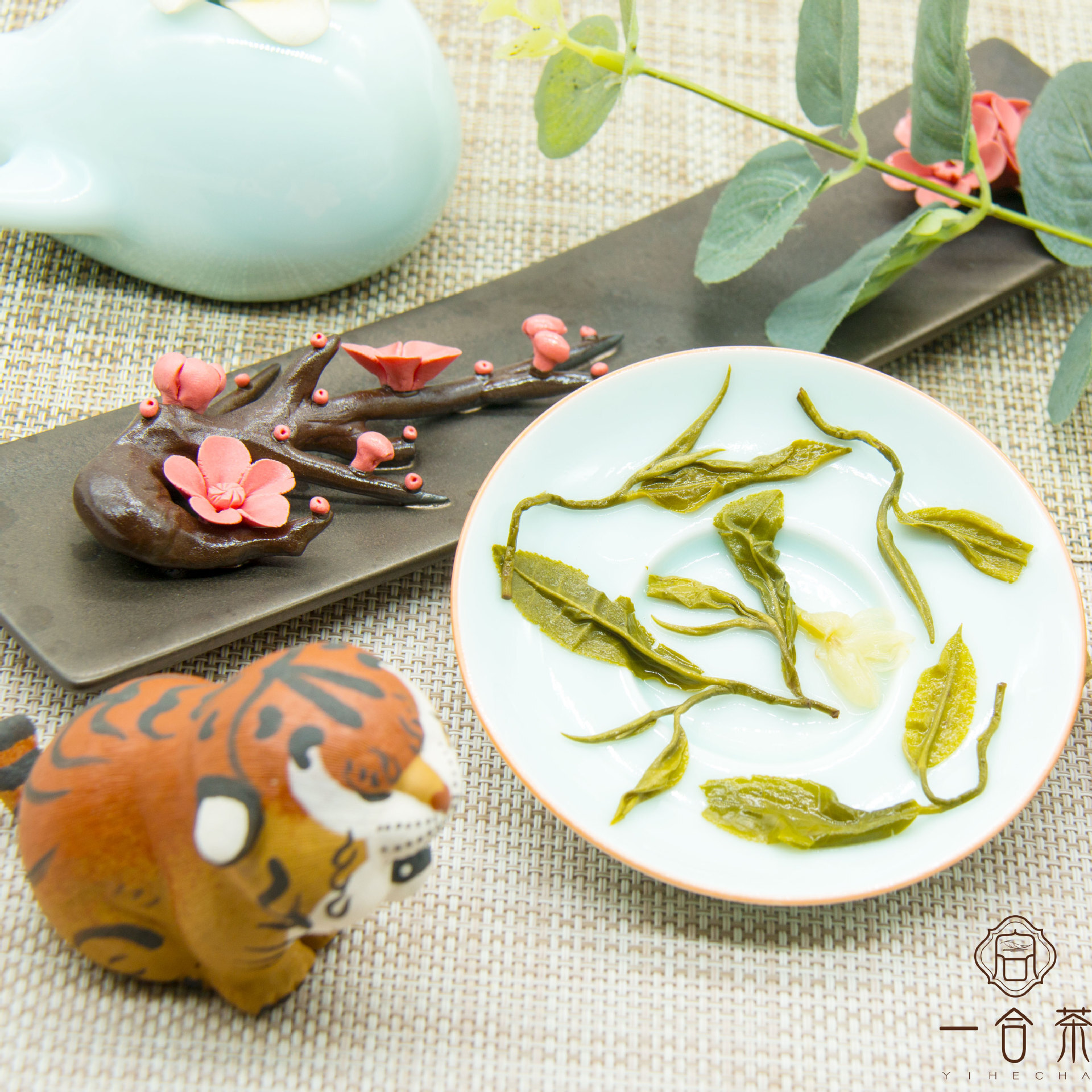 Con ốc Thanh Sơn, xưởng trà mới của Jasmine ở Nghiêm Châu, tỉnh Quảng Châu.
