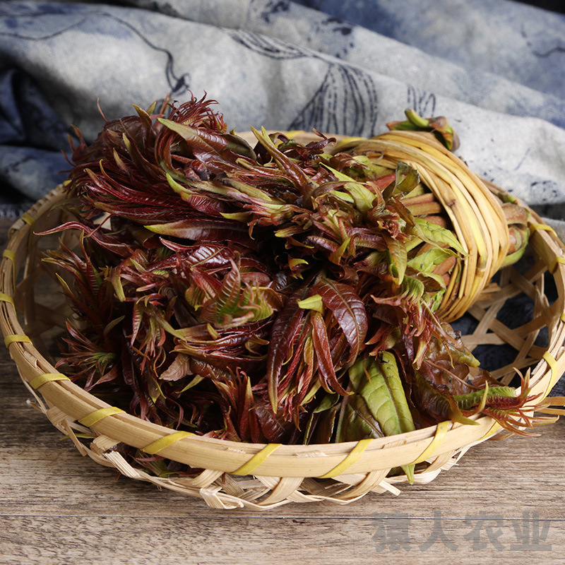 Yunnan's fragrance sprouts, delicious fragrances, and a thousand gs of red fragrances for vegetables.