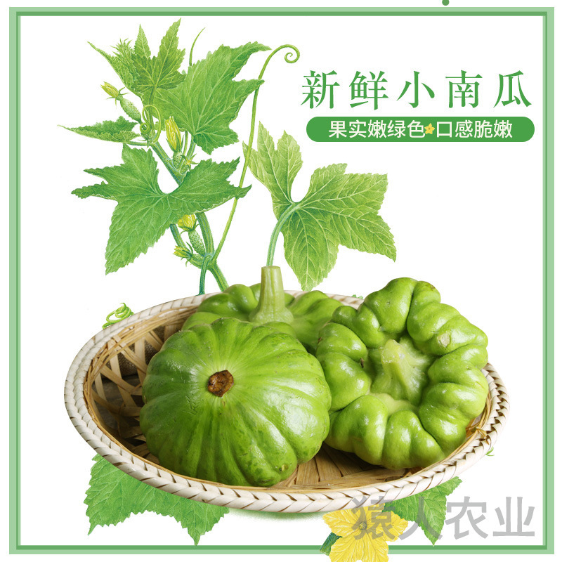 Đặc biệt của Yunnan, bí ngô tươi.