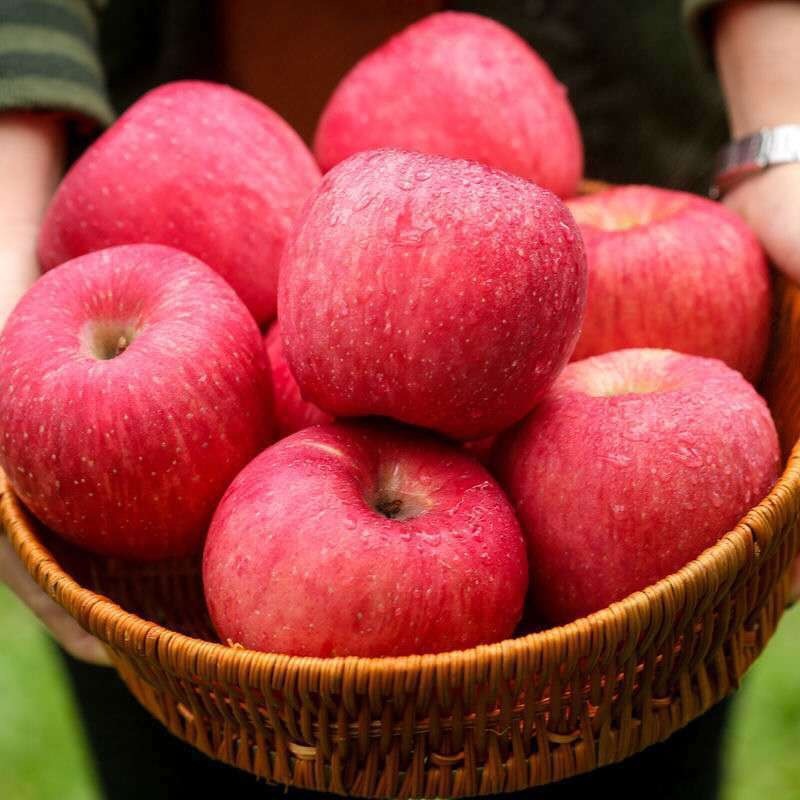 The 18-pack of fresh fruit with a total of 10 pounds of net weight.