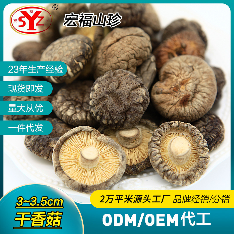 อีสต์ตะวันออกเฉียงเหนือ เชื้อรา-ไดรี-ดรี-ดรี-ดรี-ดรี-ดรี-ดรี-ดรี-ดรี-ดรี-ดรี-ดรี-ดรี-ดรี-ดรี-ดรี-ดี