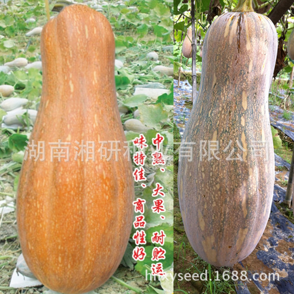 나는 이것을 살펴볼거야.
