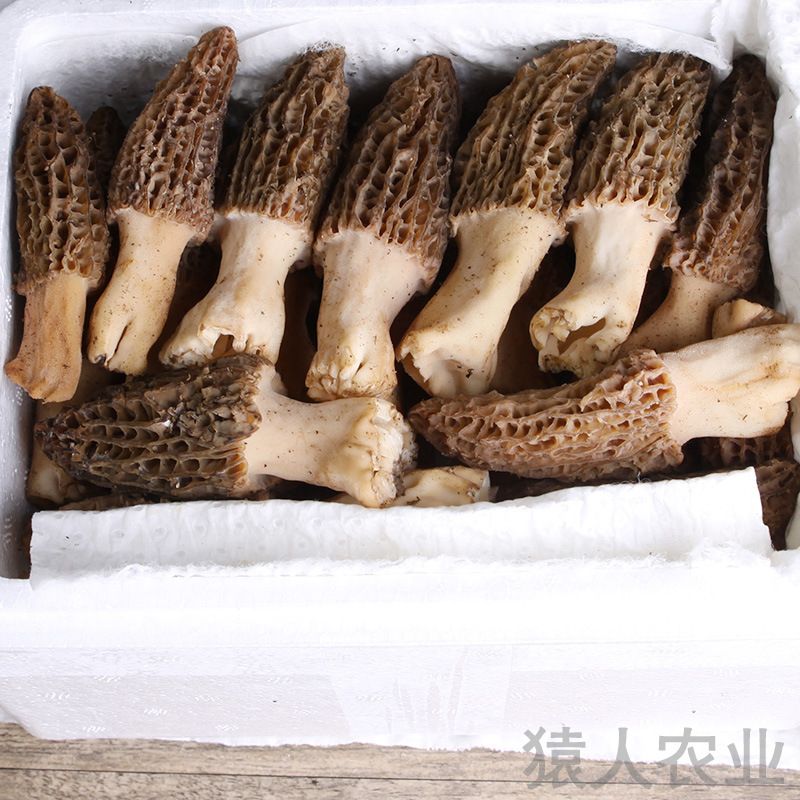 Yunnan's fresh and delicious sheep belly, fresh and fresh.
