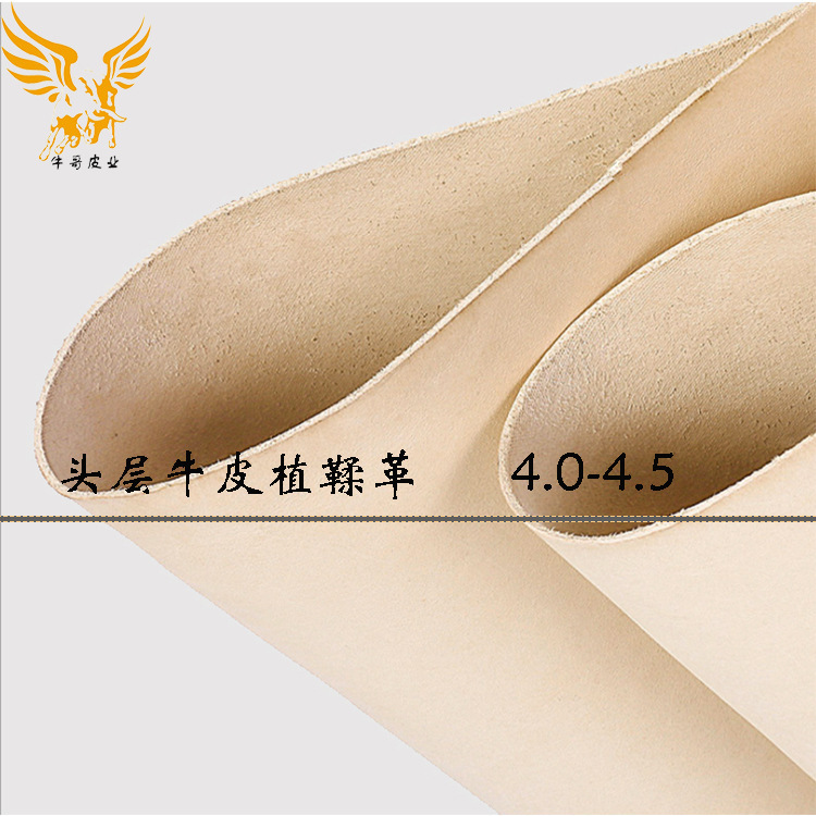 Nhà sản xuất bán 3.5-4.0 tiêu đề và xưởng thuộc da Ý.