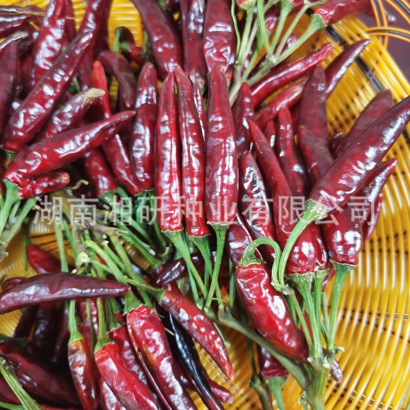 คลอว์ ที่ 2 - ภูเขา ทาง เหนือ และ ทาง ตะวัน ออก ของ แม่น้ํา ใต้