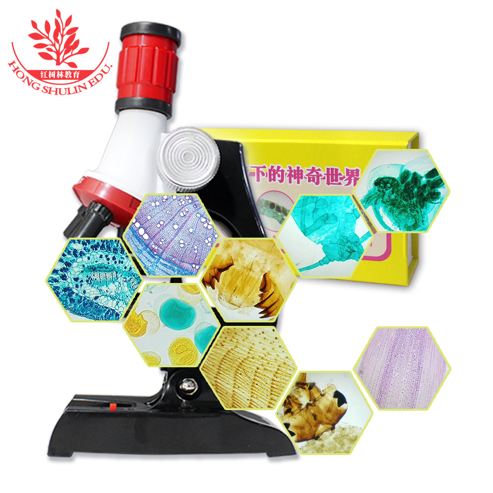 1,200 times the microscope toy to teach early biology to teach high-intensity children about experimental equipment for primary and secondary school students