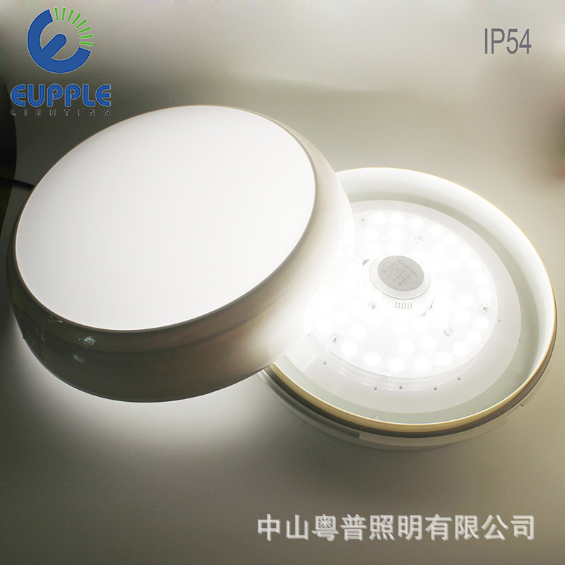 Exporting waterproof bathroom IP54, dustproof LED-sucking balconies.