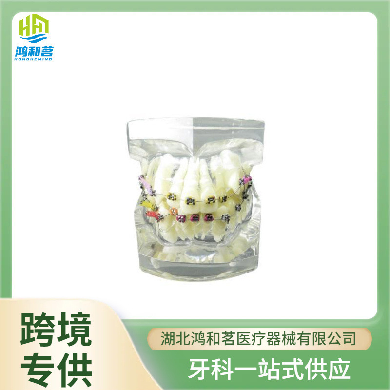 A crystal-teeth model, a larvae chain for teeth, a metal torque, a wrong bow and cheek tube, a malformation model.