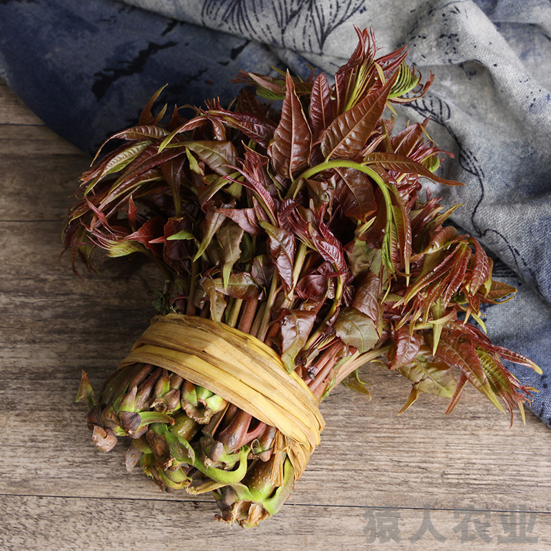 Yunnan's fragrance sprouts, delicious fragrances, and a thousand gs of red fragrances for vegetables.