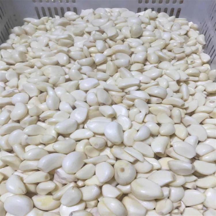 "Công ty sản xuất ô nhiễm" được đặt hàng xuất khẩu trong nước cho tỏi.
