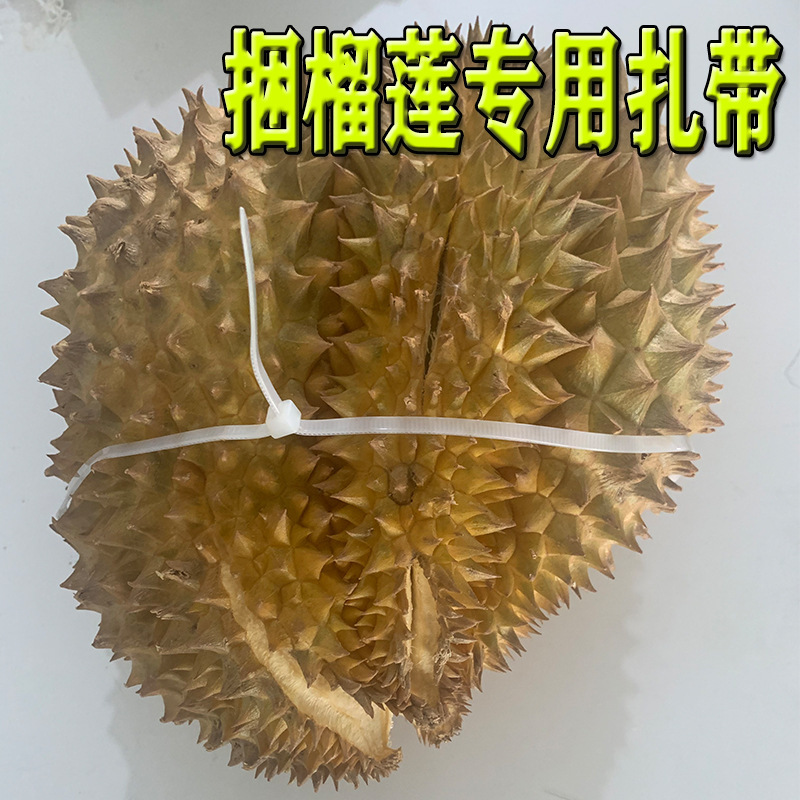 大量批发榴莲扎带黑白彩色自锁式尼龙扎带5*650加厚加长塑料扎带