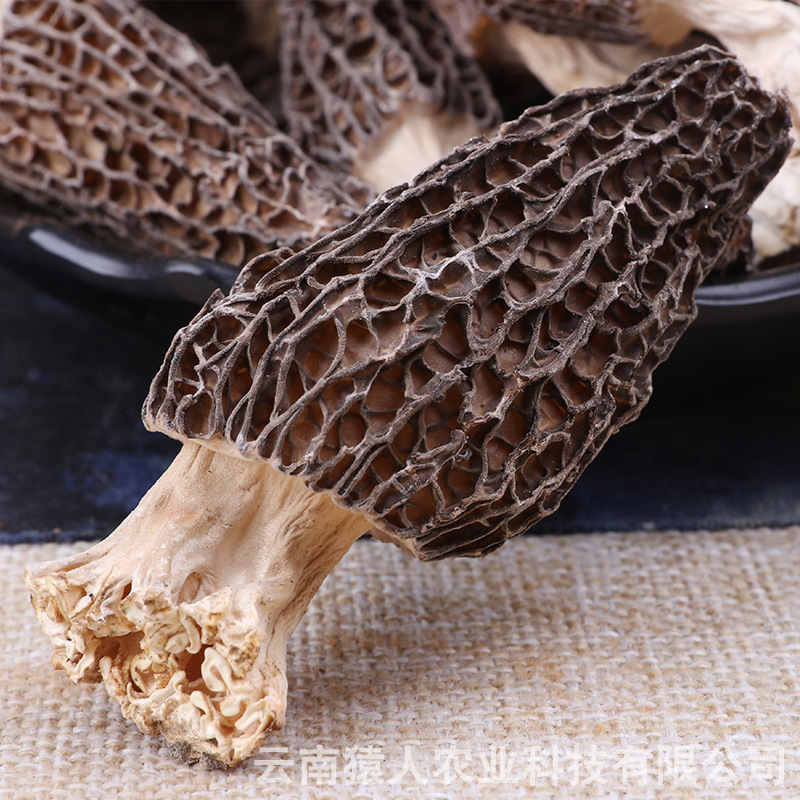 It's a fungus dry product.