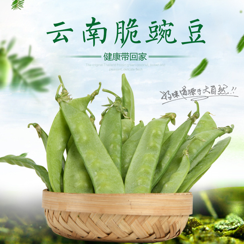 Yunnan's fresh peas produce fresh peas with a large amount of fresh and straight hair.