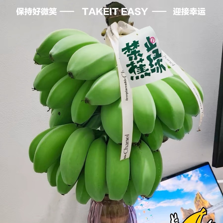 붉은 물 재배 벨트는 테이블 녹색의 중대한 납품을 만듭니다.