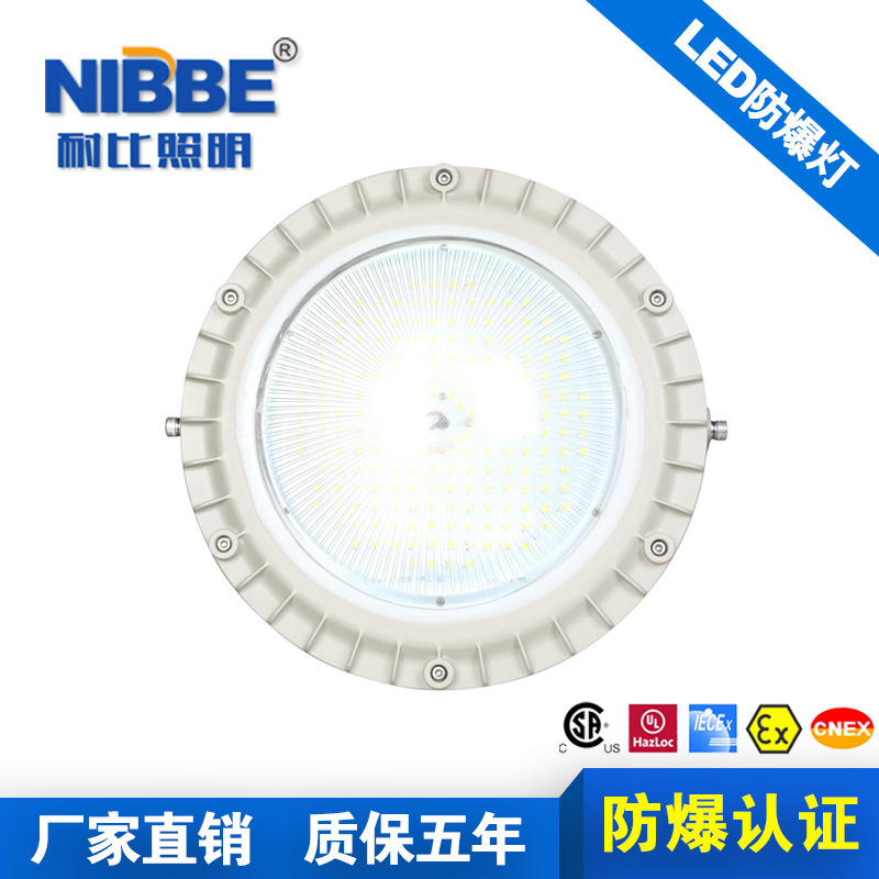 LED blast-proof industrial light workshop LED blast-proof light warehouse 60W blast-proof light