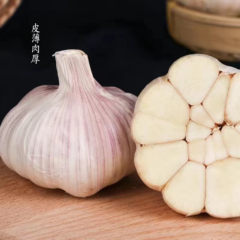 In 2024, three-and-a-half centimetres of fresh garlic was distributed directly in the country of garlic.